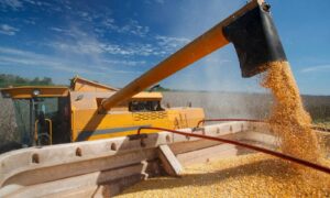 Descubra como o Farm Equity está revolucionando o financiamento rural